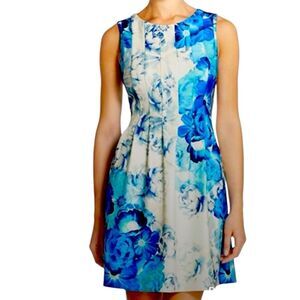Eliza J Seamed Bodice Fit & Flare Floral Dress 14